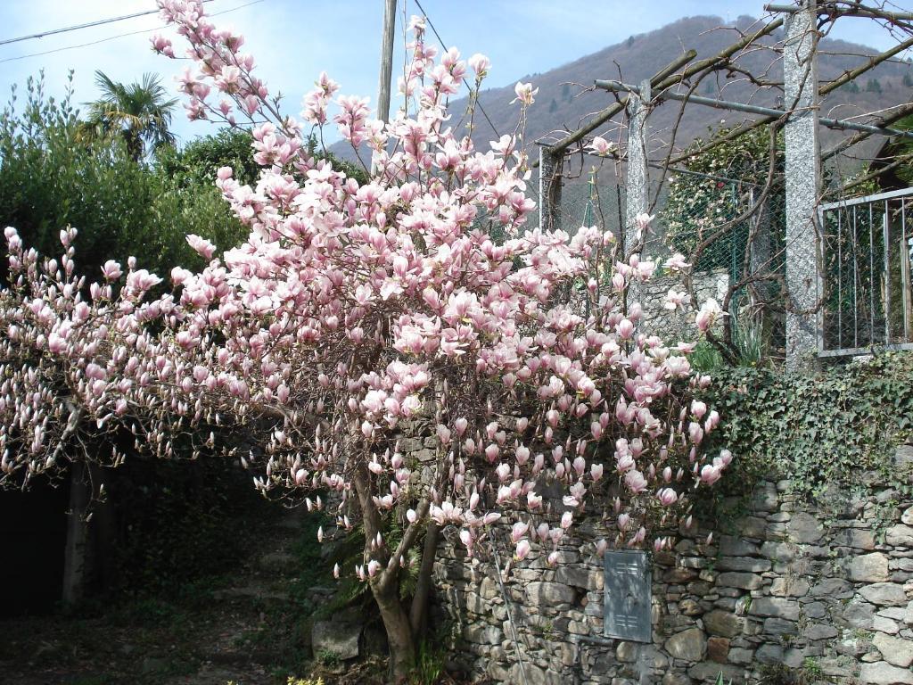 Casale Fe-Wo - Appartamenti Con Vista Lago كانيرو ريفييرا المظهر الخارجي الصورة